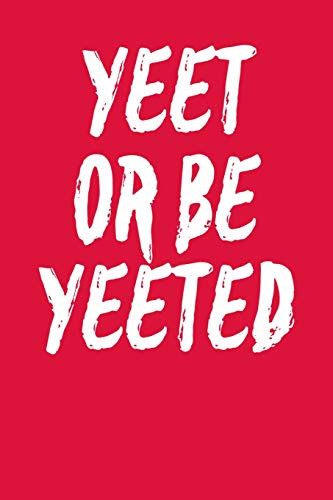 Yeet Or Be Yeeted Graph Paper Notebook 6x9 120 Pages