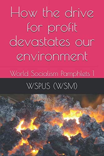 How the Drive for Profit Devastates Our Environment