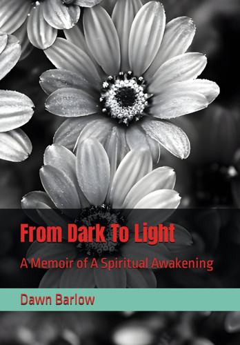 From Dark to Light A Memoir of a Spiritual Awakening