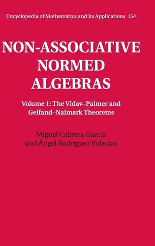 Non-Associative Normed Algebras