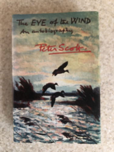 THE EYE OF THE WIND