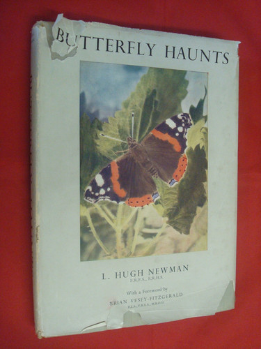 Butterfly haunts
