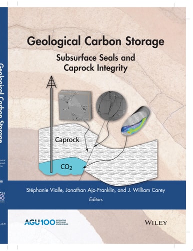 Geological Carbon Storage