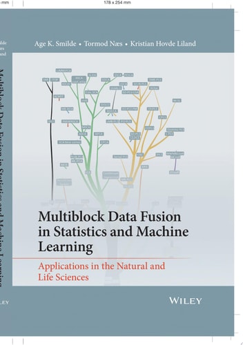 Multiblock Data Fusion in Statistics and Machine Learning