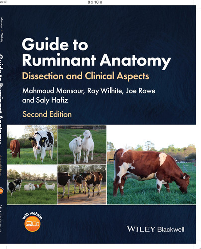 Guide to Ruminant Anatomy: Dissection and Clinical Aspects