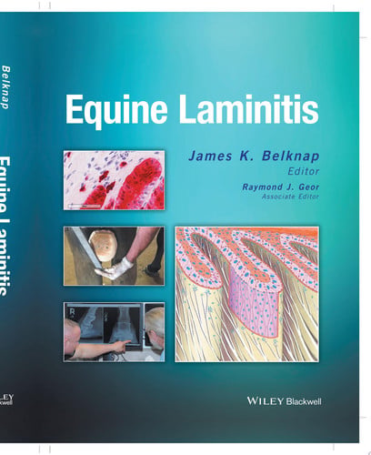 Equine Laminitis