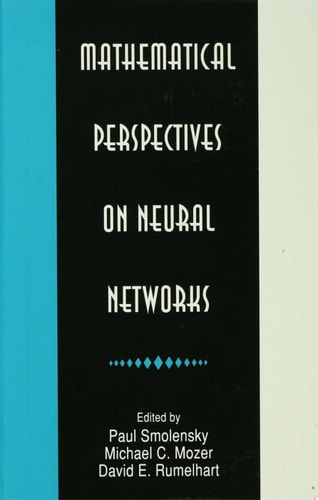 Mathematical Perspectives on Neural Networks