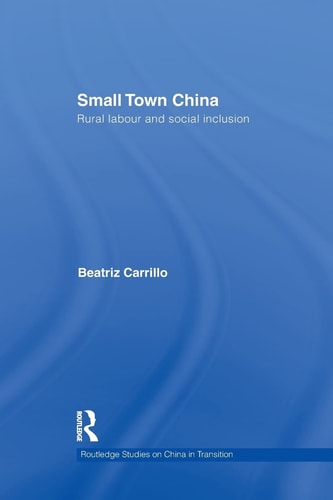 Small Town China Rural Labour and Social Inclusion