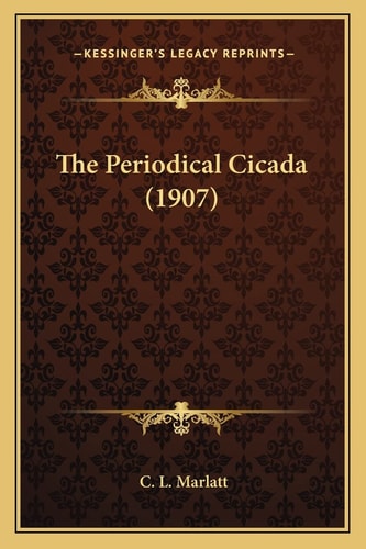 The Periodical Cicada