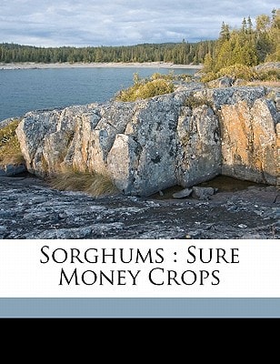 Sorghums: sure money crops