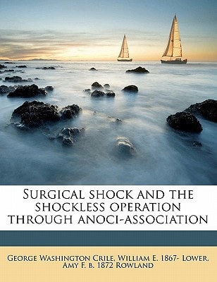 Surgical shock and the shockless operation through anoci-association