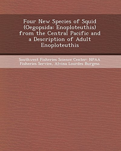 Four New Species of Squid (Oegopsida: Enoploteuthis) from the Central Pacific and a Description of Adult Enoploteuthis