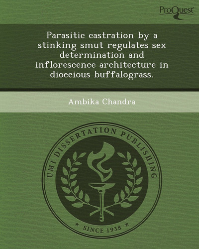 Parasitic castration by a stinking smut regulates sex determination and inflorescence architecture in dioecious buffalograss.