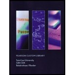 Pearson Custom Library GBA 334