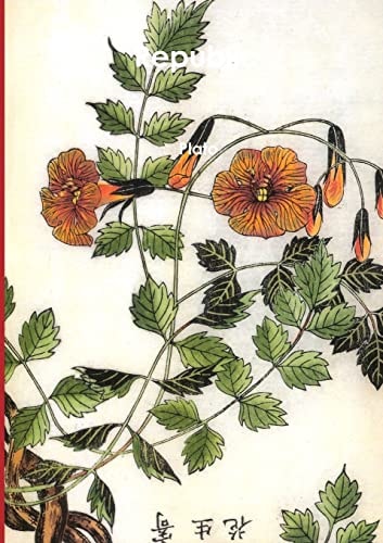 Edition published by Lulu.com