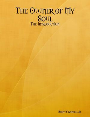 The Owner of My Soul: The Introduction