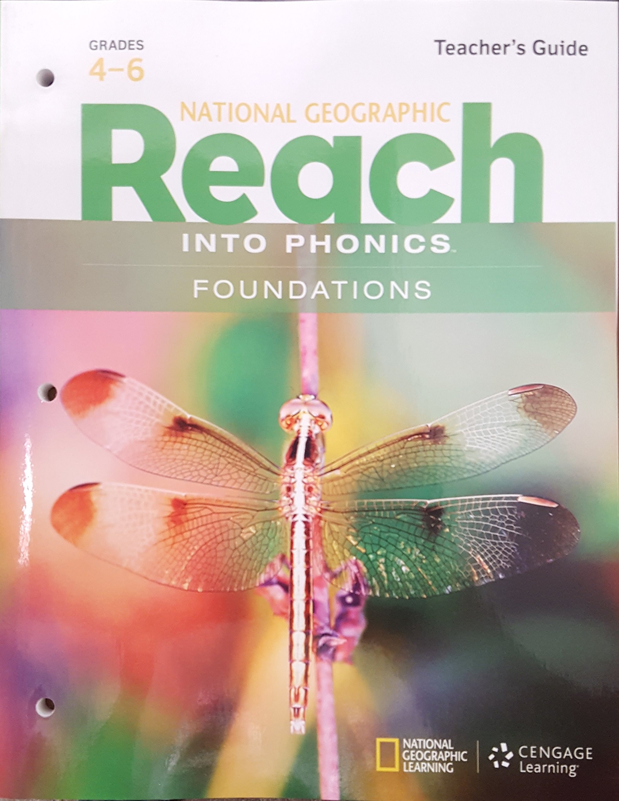 Reach Into Phonics Foundations: Teacher's Guide, Grades 4-6