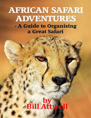 African Safari Adventures - a Guide to Organising a Great Safari