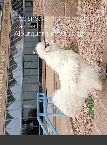 Taco Sneaks Aboard a Hot Air Balloon Discovers Alburquerque with a Pit Stop in San Antonio and the Owl By: Dr. Rebecca Michael