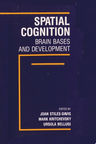 Spatial Cognition Brain Bases and Development