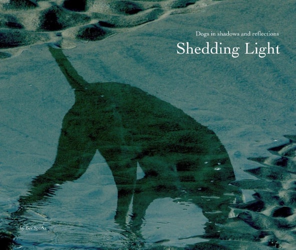 Shedding Light