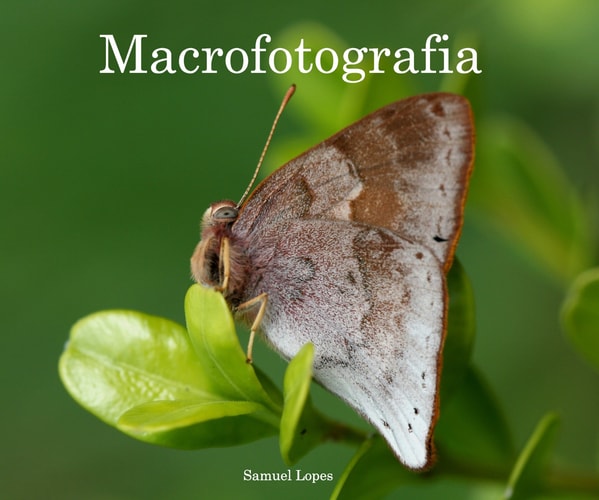 Macrofotografia