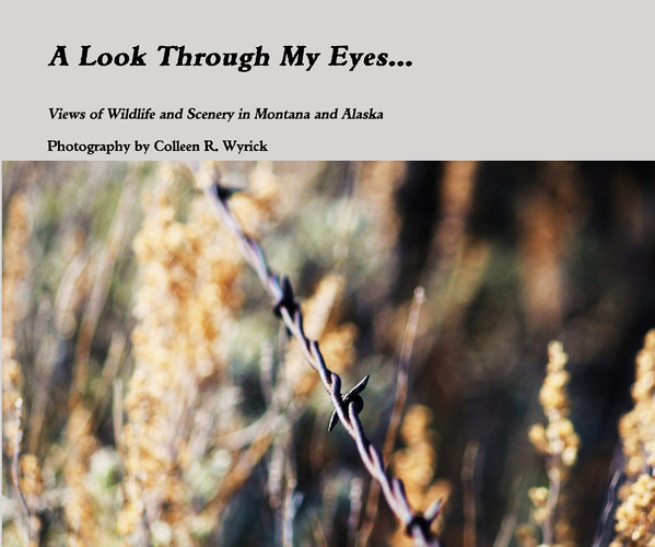 A Look Through My Eyes...
