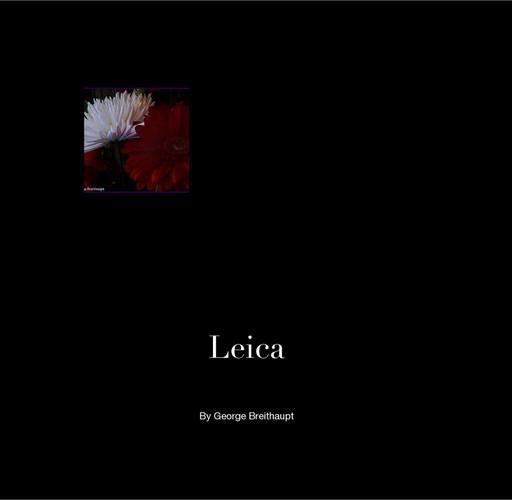 Leica Light