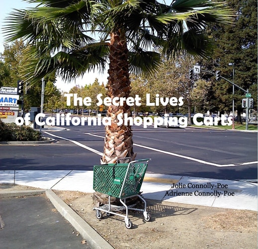 The Secret Lives of California Shopping Carts
