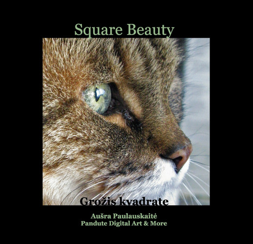 Square Beauty