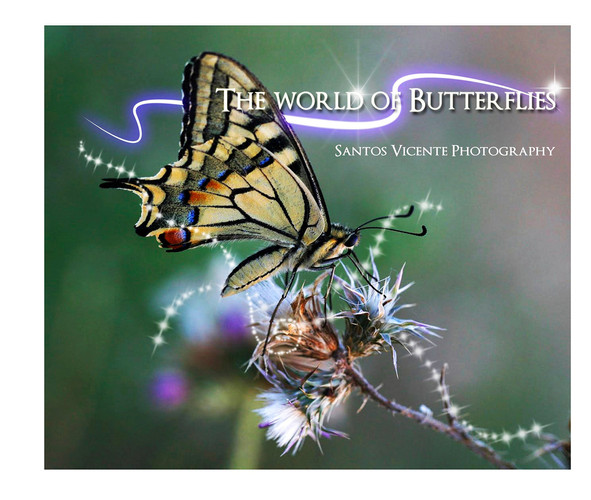 The World of Butterflies