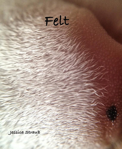 Felt