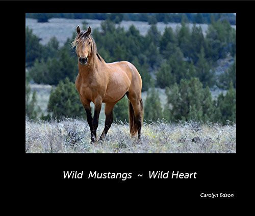 Wild Mustangs ~ Wild Heart