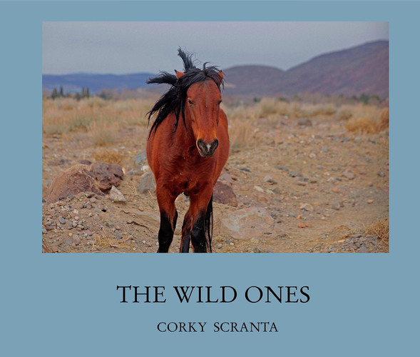 The Wild Ones