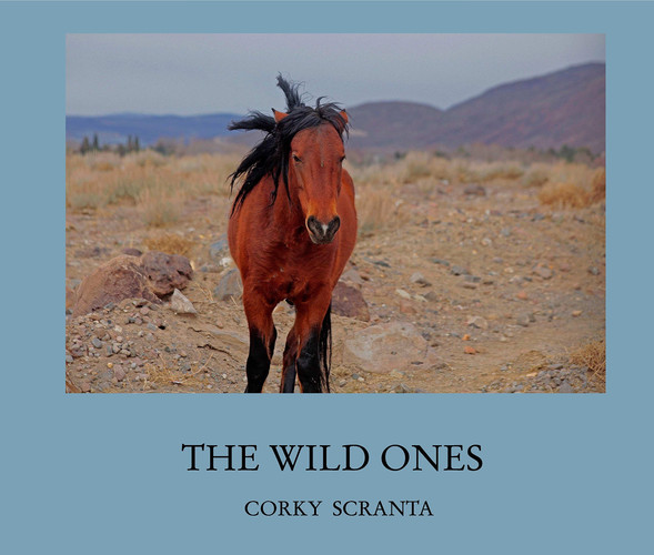 The Wild Ones