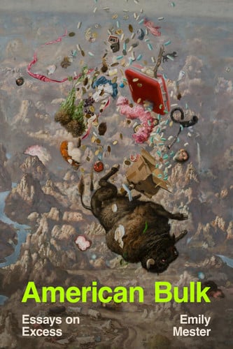 American Bulk Essays on Excess