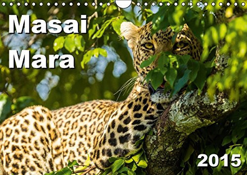 Masai Mara 2015 2015: Animals and landscapes of the Masai Mara in Kenya (Calvendo Nature)