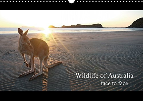Wildlife of Australia - face to face / UK-Version 2015: Wild animals of Australia in their habitats (Calvendo Animals)