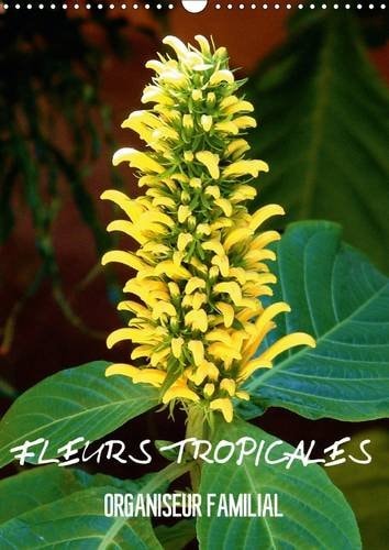 Fleurs tropicales Organiseur familial - Calendrier mural A3 vertical 2016