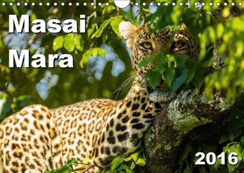 Masai Mara 2016 2016: Animals and landscapes of the Masai Mara in Kenya (Calvendo Nature)