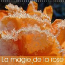 La magie de la rose De magnifiques roses lumineuses, de variétés et de couleurs différentes