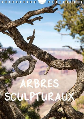 Arbres sculpturaux L'arbre, comme sculpture, dans des paysages grandioses où il devient objet d'art, symbole ou refuge. Calendrier mural A4 vertical 2016