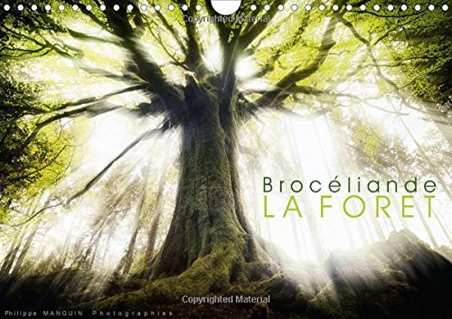 Broceliande, la forêt Calendrier mural A4 horizontal