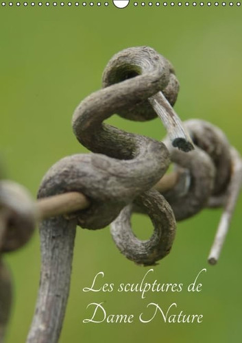 Les sculptures de Dame Nature Toutes les beautée de la nature sous vos yeux. Calendrier mural A3 vertical 2016