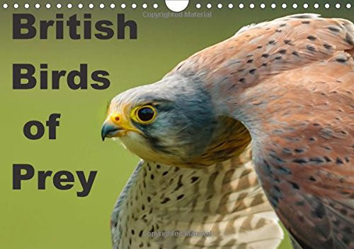 British Birds of Prey 2016: Birds of Prey found in the United Kingdom (Calvendo Animals)