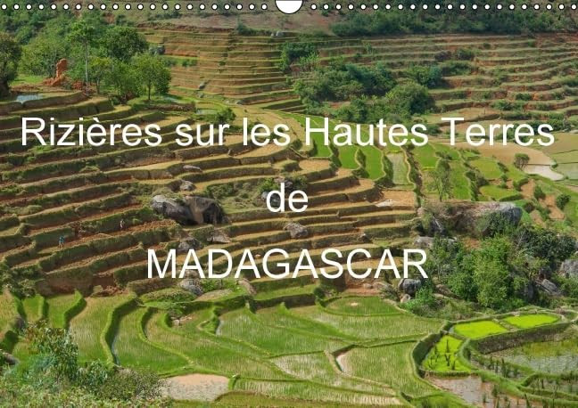 Rizières sur les hautes terres de Madagascar Paysages de rizières en terrasses de Madagascar. Calendrier mural A3 horizontal 2016