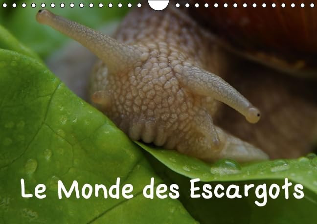 Le monde des escargots Escargots dans notre paysage. Calendrier mural A4 horizontal 2016