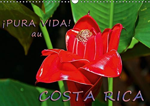 Pura vida! Au costa rica Costa Rica - un pays merveilleux avec une nature magnifique. Calendrier mural A3 horizontal 2016