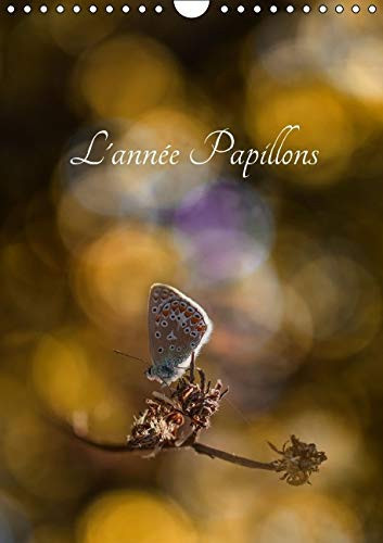 L'année papillons Calendrier illustré ayant pour thème les papillons. Calendrier mural A4 vertical 2016