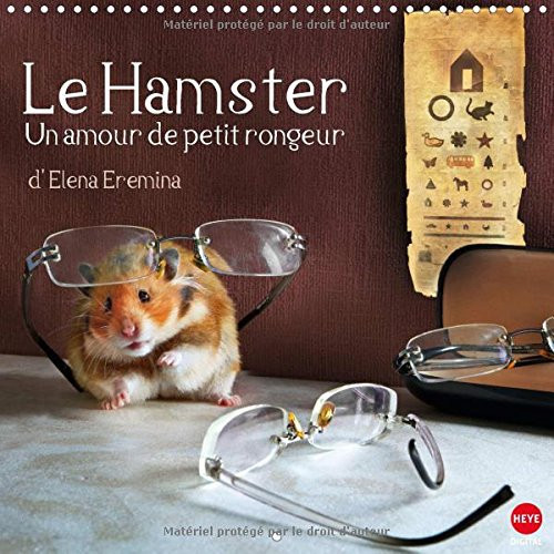Le hamster un amour de petit rongeur La marrante petite famille Hamster : Sans roue, à quoi s'affaire-t-elle ? Calendrier mural 2016